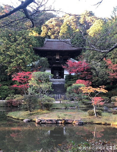 奈良の紅葉穴場スポット 円成寺の庭園は必見 奈良一人旅紅葉編 奈良の紅葉穴場スポット 円成寺の庭園は必見 奈良一人旅紅葉編