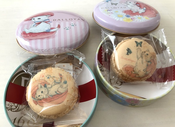 ダロワイヨの猫が可愛すぎる マカロンケース ニャカロン 猫好き必見のスイーツ